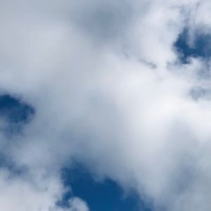 Meet your Posher, Balle